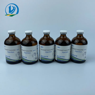 ভেটেরিনারি ইনজেকশনযোগ্য ওষুধ GMP Bute এবং Dexamethasone Racehorse Medicine Camel Butazone Injection